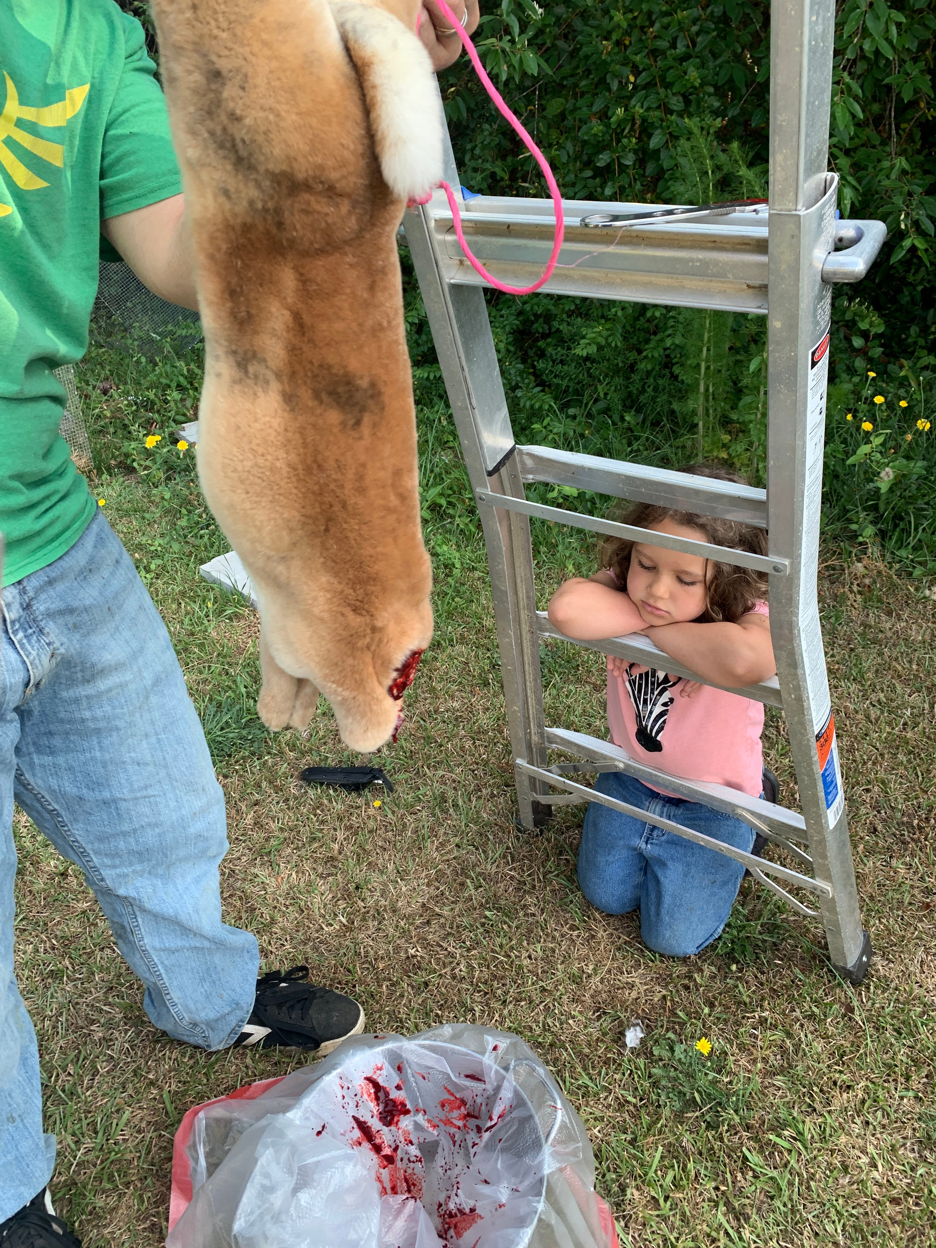 rabbit processing